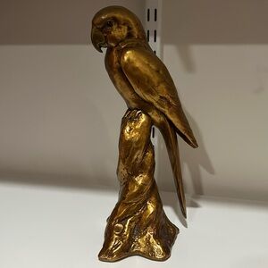 Anthony Freeman McFarlin Parrot